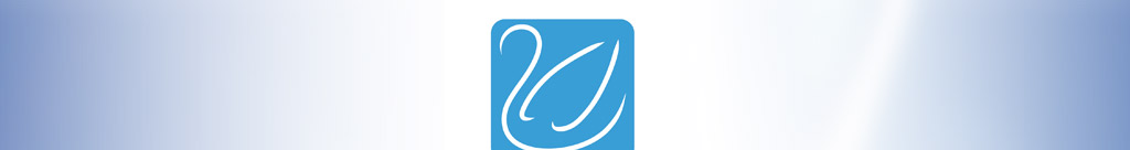 Eis-Skulpturen manufaktur Cottbus